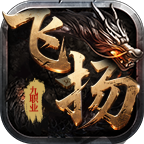 飞扬传奇九职业